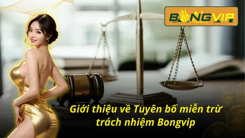 Cập Nhật Tuyên Bố Miễn Trừ Trách Nhiệm BongVip Mới Nhất 1 Giới thiệu chung về Tuyên bố miễn trừ trách nhiệm Bongvip